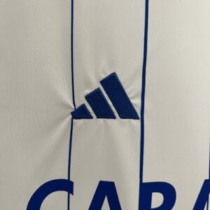 Camiseta Real Zaragoza 2023/24 Local — detalle