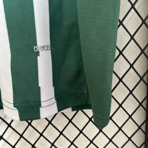 Camiseta Palmeiras 2023 Edición Especial — vista frontal detallada del patrón
