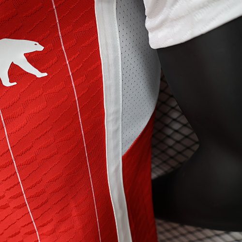 Camiseta Colo Colo 2024/25 Local Versión Jugador - detalle
