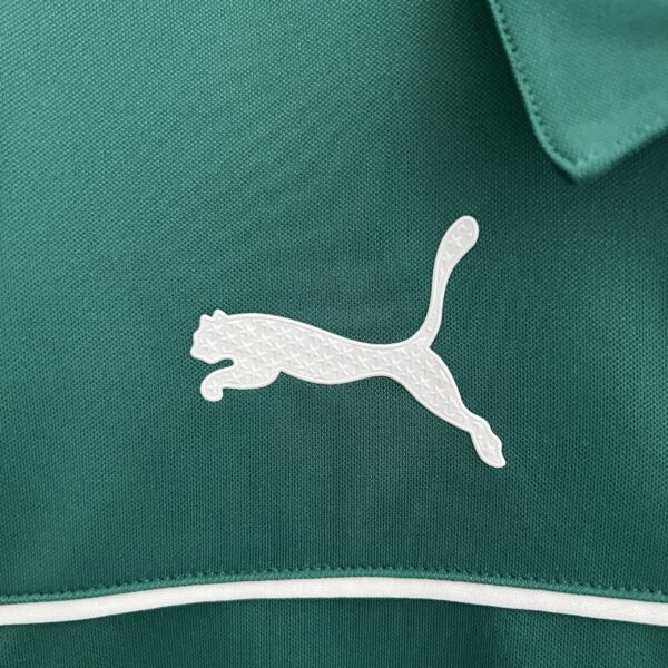 Camiseta Palmeiras 2024 Edición Especial — detalle