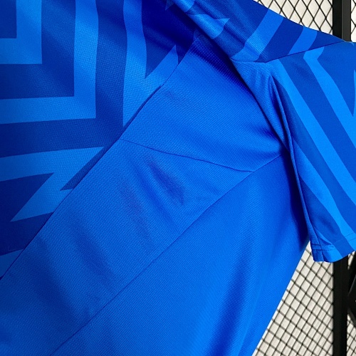 Camiseta Palmeiras 2024 Arquero — detalle