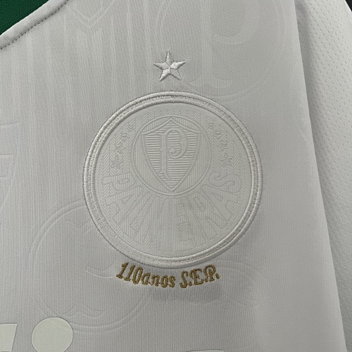 Camiseta Palmeiras 2023/24 Edición Especial — detalle