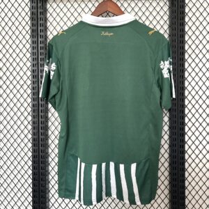 Camiseta Palmeiras 2023 Edición Especial — detalle del cuello polo