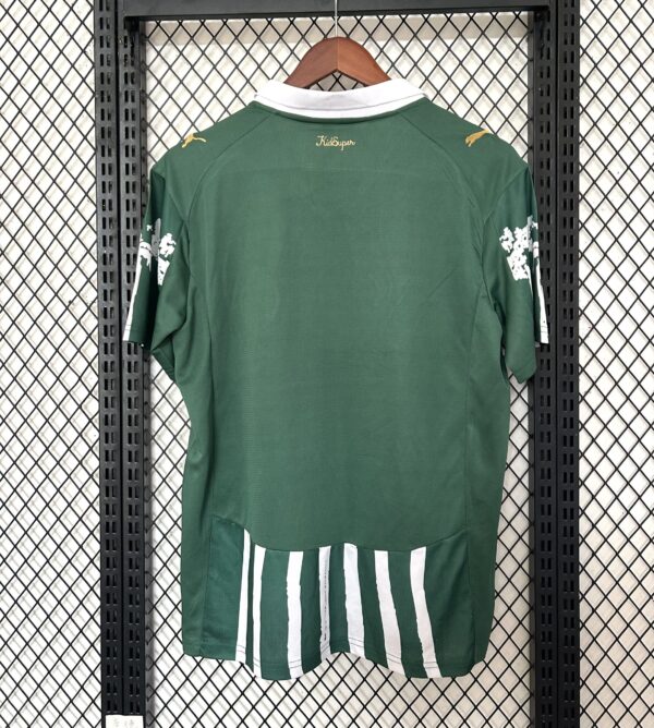 Camiseta Palmeiras 2023 Edición Especial — detalle del cuello polo