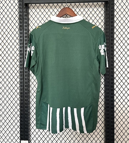 Camiseta Palmeiras 2023 Edición Especial — detalle de los acabados