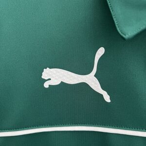 Camiseta Palmeiras 2024 Edición Especial — vista frontal