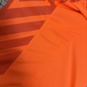 Camiseta Palmeiras 2024 Arquero — detalle