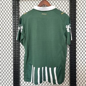 Camiseta Palmeiras 2023 Edición Especial — vista general de la camiseta