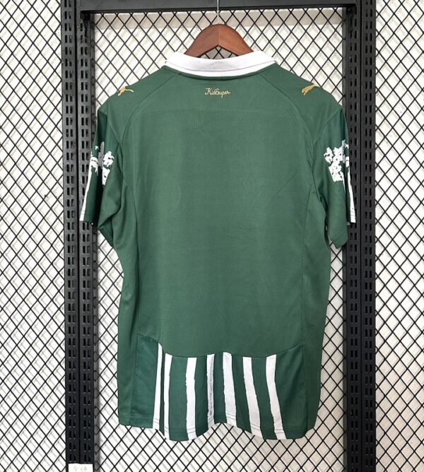 Camiseta Palmeiras 2023 Edición Especial — vista general de la camiseta