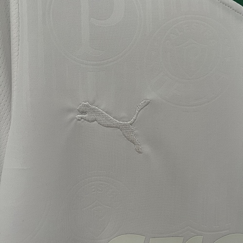Camiseta Palmeiras 2023/24 Edición Especial — detalle
