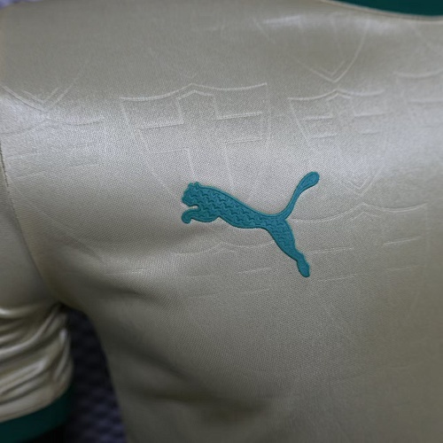 Camiseta Palmeiras 2023 Tercera — detalle