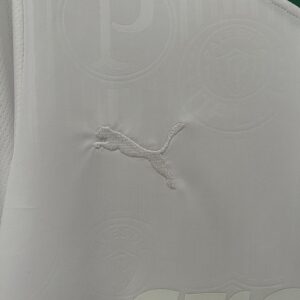 Camiseta Palmeiras 2023/24 Edición Especial — detalle