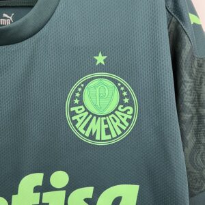 Camiseta Palmeiras 2021 Tercera