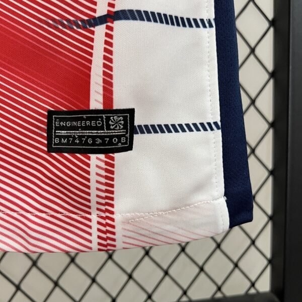 Camiseta San Lorenzo de Almagro 2023/24 Visita - detalle