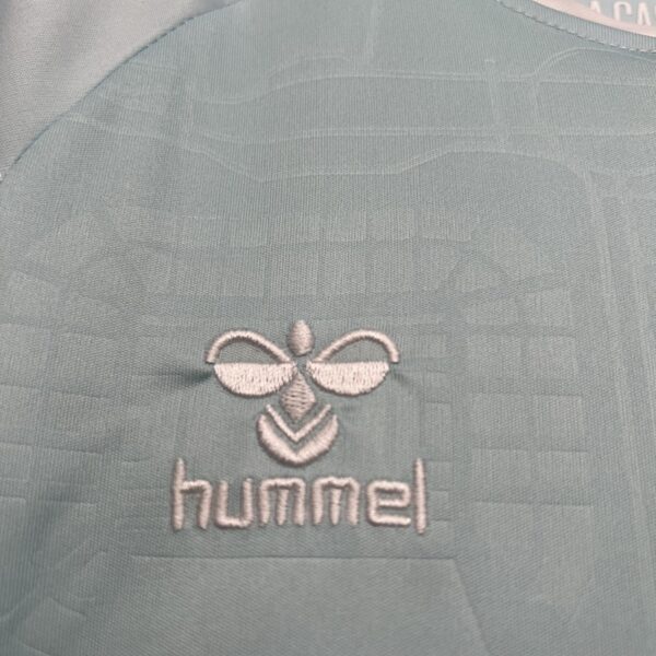 Camiseta Real Betis 2023/24 Visita — detalle