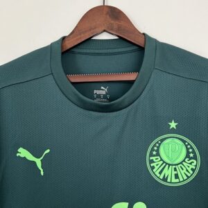 Camiseta Palmeiras 2021 Tercera