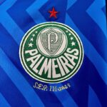 Camiseta Palmeiras 2024 Arquero — vista frontal