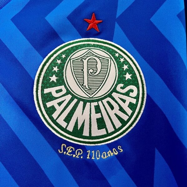Camiseta Palmeiras 2024 Arquero — vista frontal