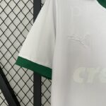 Camiseta Palmeiras 2023/24 Edición Especial — vista frontal
