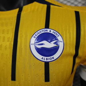 Camiseta Brighton & Hove Albion 2023/24 Tercera - detalle