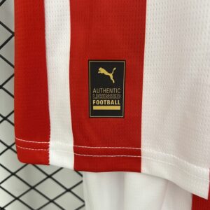 Camiseta Real Sporting de Gijón 2023/24 Local — detalle