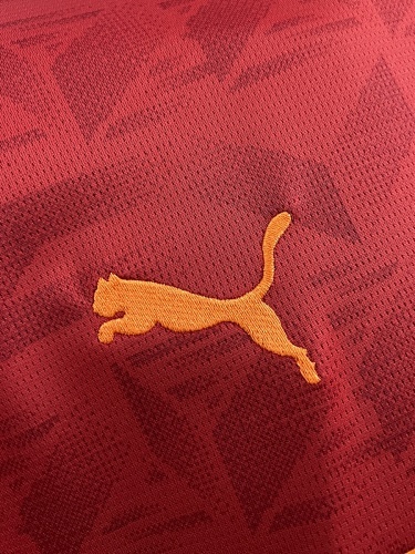 Camiseta Valencia CF 2023/24 Visita — detalle