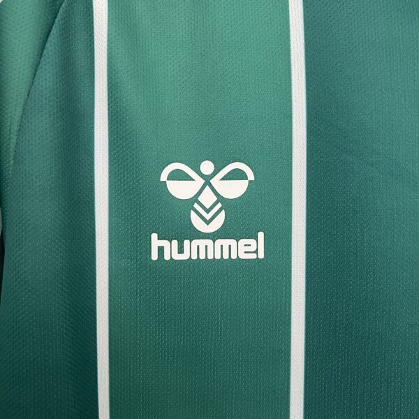 Camiseta Werder Bremen 2023/24 Local - detalle