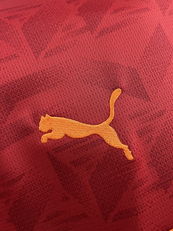 Camiseta Valencia CF 2023/24 Visita — detalle