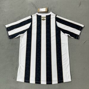 Camiseta Santos 2025/2026 Visita - vista frontal