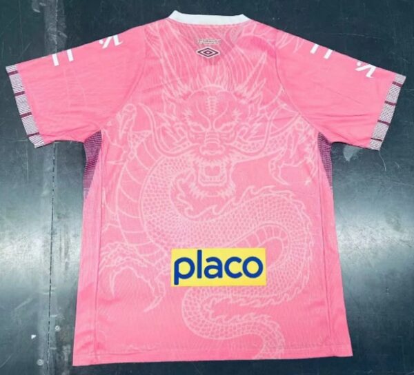 Camiseta Santos 2025/2026 Edición Especial - vista frontal