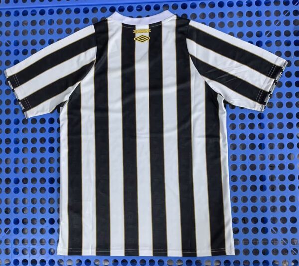 Camiseta Santos 2024/2025 Alternativa Negra Para Mujer - vista frontal