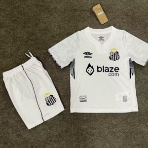 Camiseta Santos 2025/2026 Visita - detalle escudo