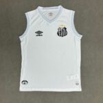 Camiseta Santos 1993/1994 Retro Local - detalle escudo