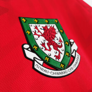 Camiseta Gales 1990/1992 Visita Retro - detalle