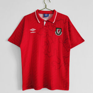 Camiseta Gales 1990/1992 Visita Retro - detalle