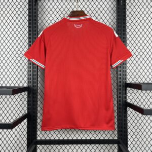 Camiseta Gales Mundial 2026 Local - detalle escudo y franjas
