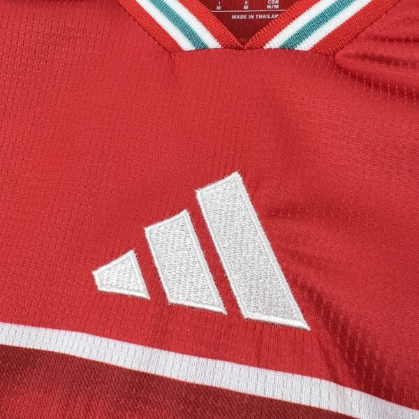 Camiseta Gales Mundial 2026 Local - vista frontal izquierda
