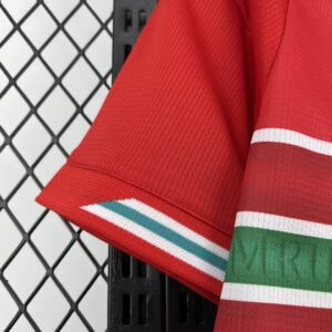 Camiseta Gales Mundial 2026 Local - detalle inferior izquierdo