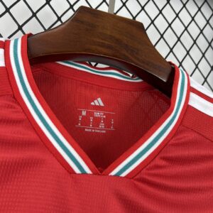 Camiseta Gales Mundial 2026 Local - detalle manga