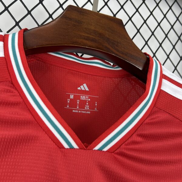 Camiseta Gales Mundial 2026 Local - detalle manga