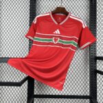 Camiseta Gales Mundial 2026 Local - vista frontal