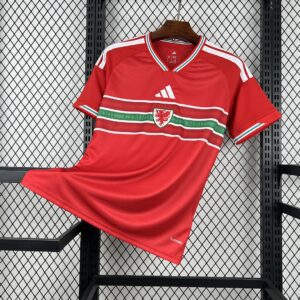 Camiseta Gales Mundial 2026 Local - vista frontal