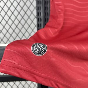 Camiseta Portugal Mundial 2026 Pre-Partido - detalle logo Puma