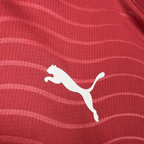 Camiseta Portugal Mundial 2026 Pre-Partido - detalle patron de tela