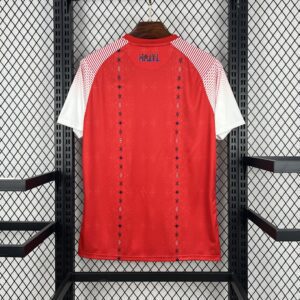 Camiseta Haití Mundial 2026 Local - detalle escudo