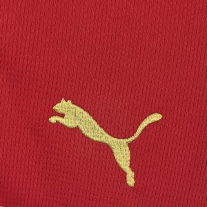 Camiseta Marruecos Mundial 2026 Pre-Partido - detalle tela