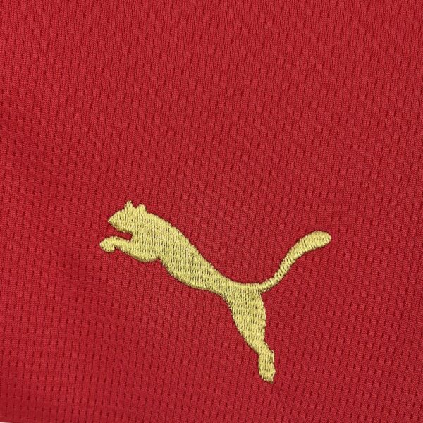 Camiseta Marruecos Mundial 2026 Pre-Partido - detalle tela