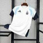 Camiseta Argentina Mundial 2026 Visita - vista frontal
