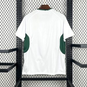 Camiseta Sudáfrica Springbok 2026 Local - vista frontal