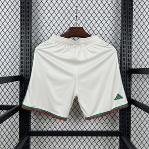 Camiseta Argelia 2026 Visita Version Jugador - vista frontal completa